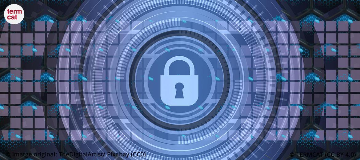 És adequat referir-se a la protecció de dades amb les formes securització o segurització?